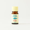 Atlantic Aromatics Rose Otto in 5% Jojoba