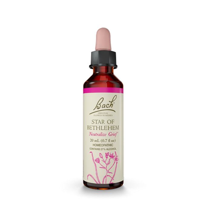 Bach Original Flower Remedy Star of Bethlehem