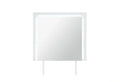 Naomi Silver Marble Mirror with LED